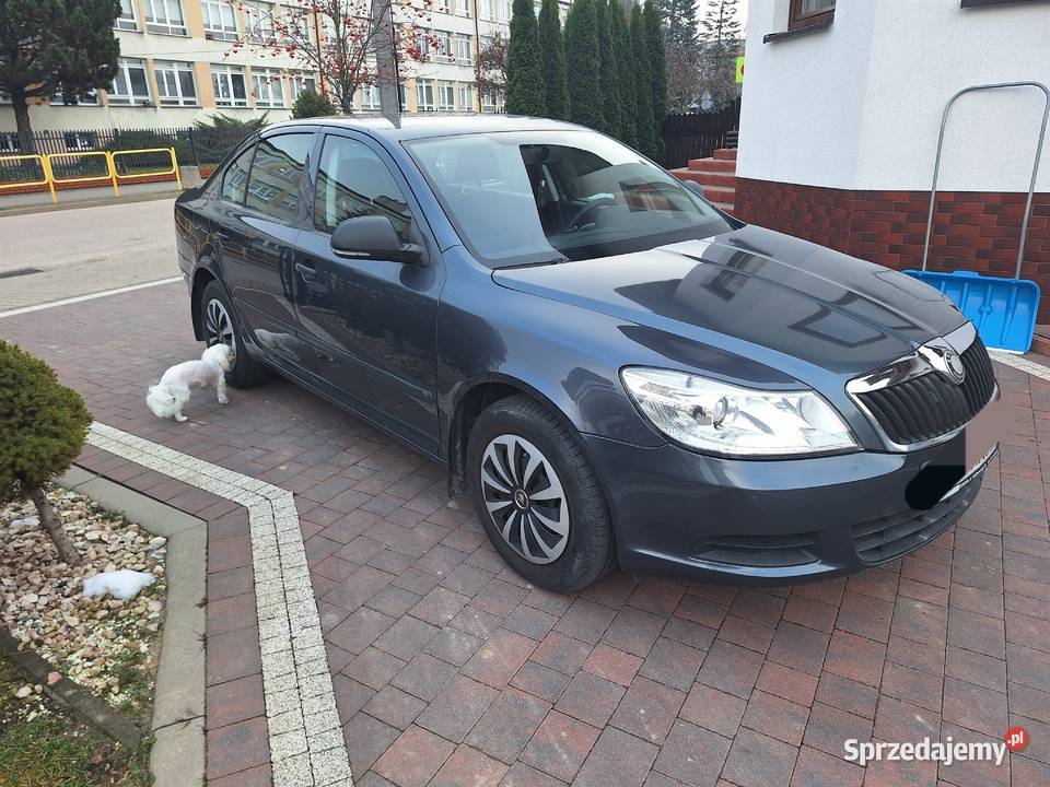 SKODA OCTAVIA II LIFT 14 BENZYNA 2010r 260000 125KM Ciechanowiec