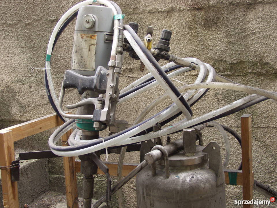 żelkociarka Biała Podlaska