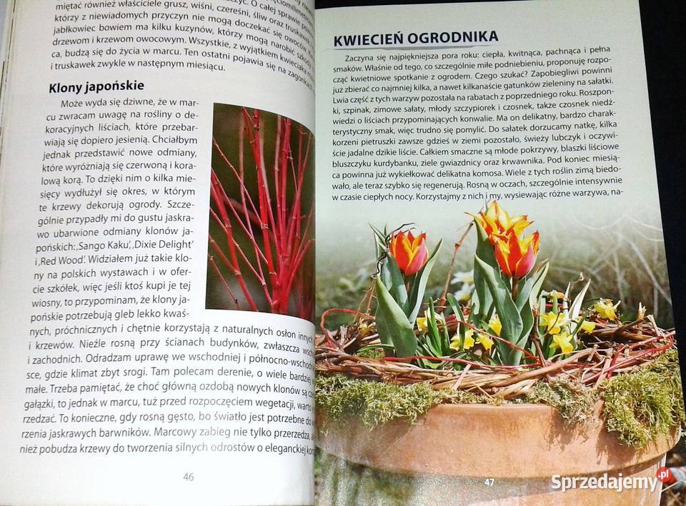 Wpływ księżyca 2019 Poradnik ogrodniczy Witold Chełm