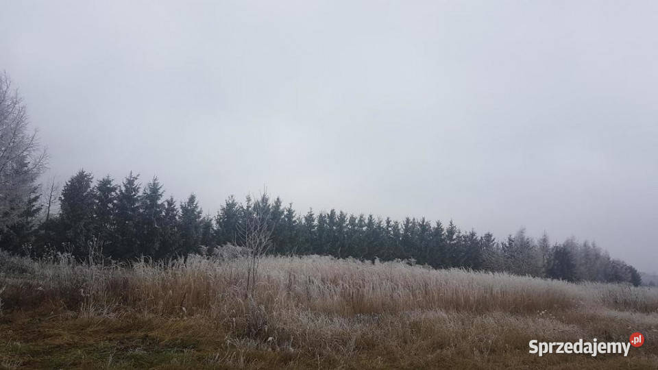 Sprzedam działkę mieszkanioworzemieślniczą Sprzedaż Świdnik