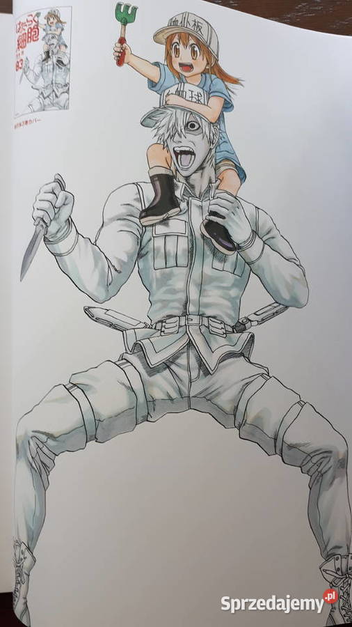 Cells at Work Illustrations by Akane Shimizu