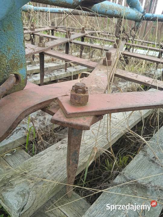 Brony 16stki 5 polowe Wielkie Bałówki