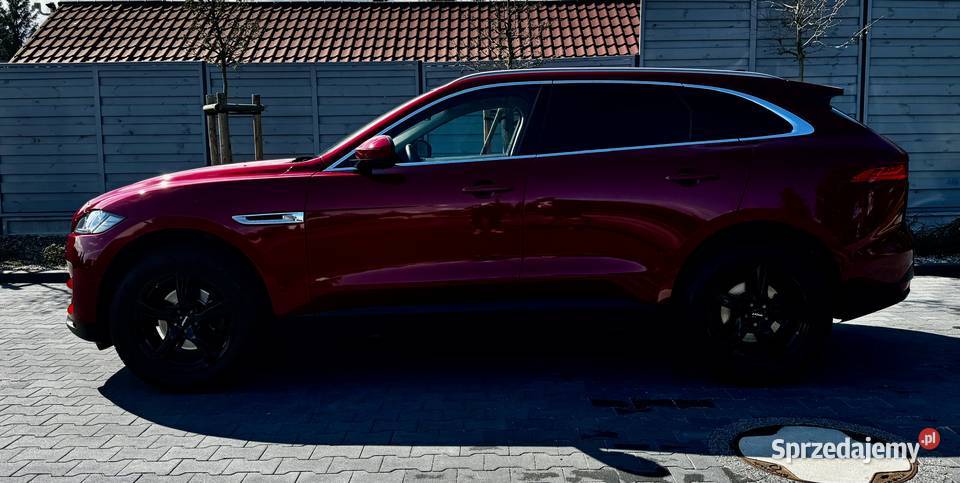 Śliczny FPace Salon Polska Bez wkładu wielkopolskie