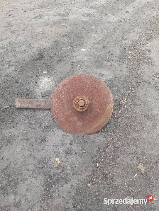 Krój do pługa lubelskie Majdanek Kozicki