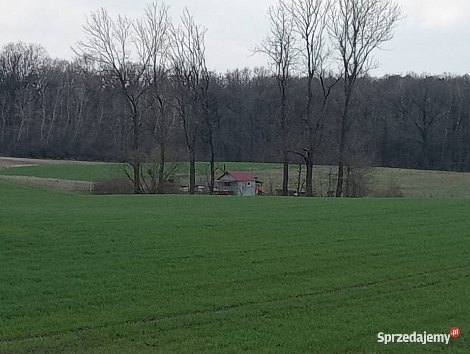 Sprzedam działkę siedliskowa 3000m2 sprzedam