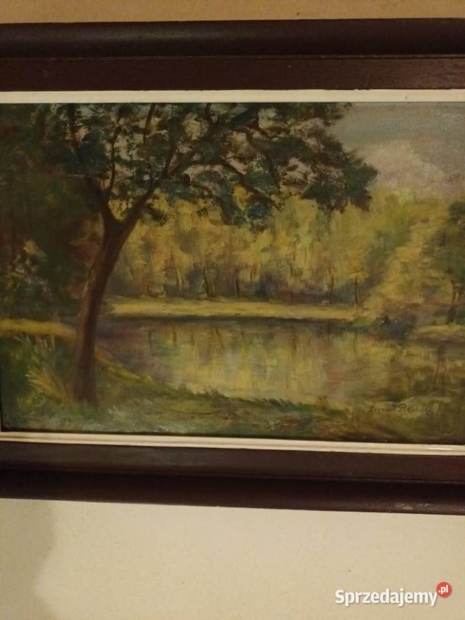 Jezioro wśród drzew