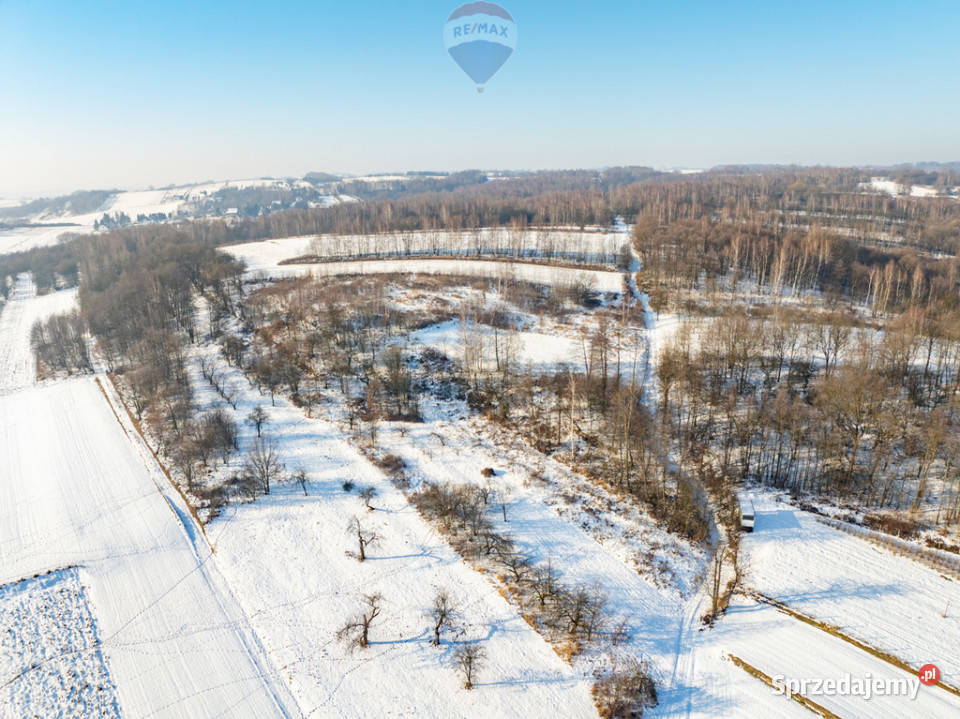 Rolna w urokliwej okolicy Czułów
