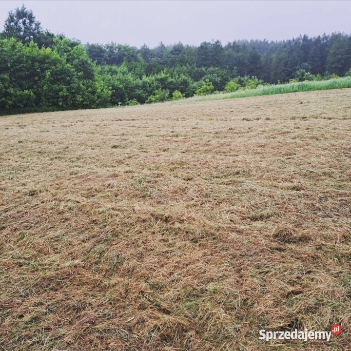 Działka z WZ m Rzeszów obr221 Słocina 295zł/m2 Sprzedaż podkarpackie