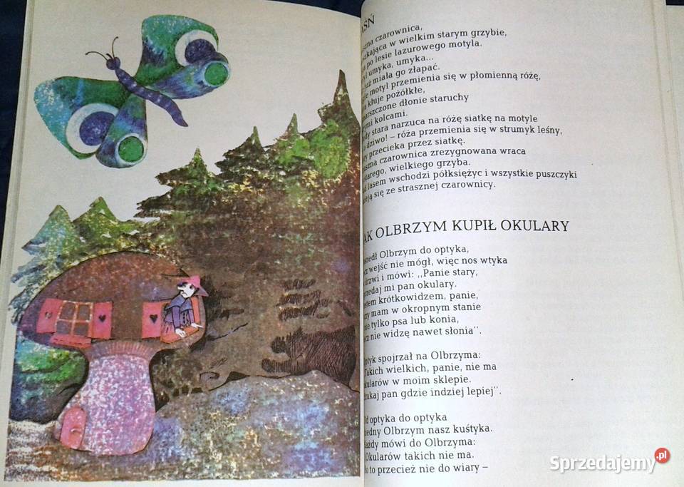 Czarymary Włodzimierz Słobodnik miękka Chełm