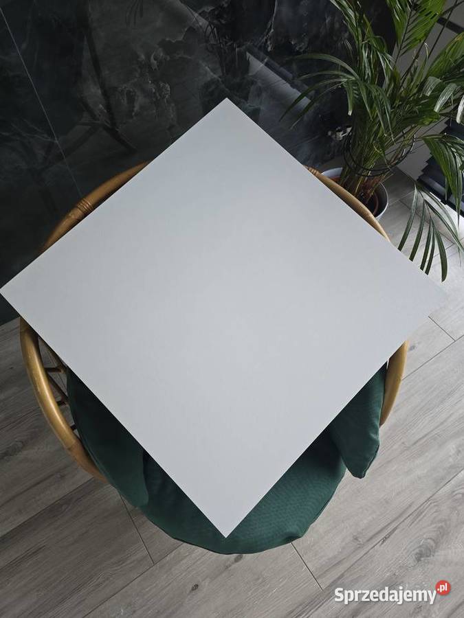 PŁYTKA SCARLET WHITE MATT 60x60 GAT III TUBĄDZIN Płytki uniwersalne Opoczno