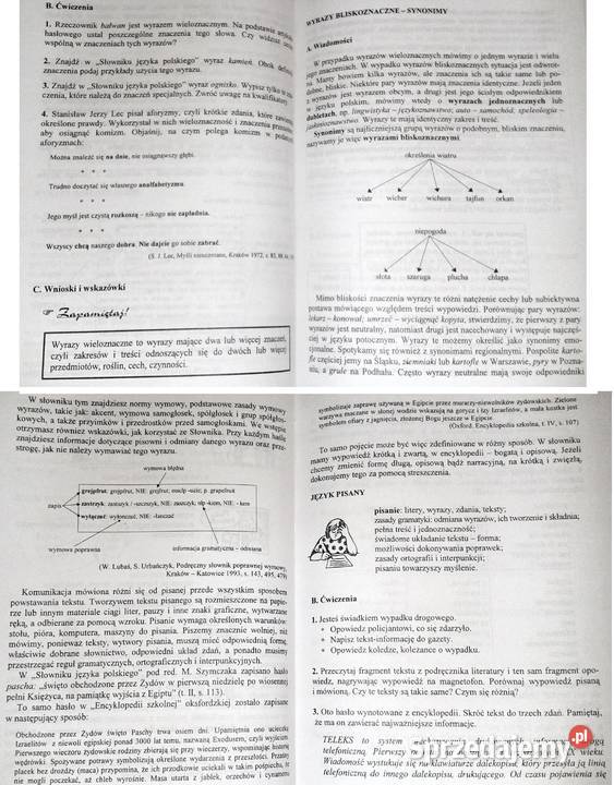 Współczesna polszczyzna JKowalikowa U Ż Chełm