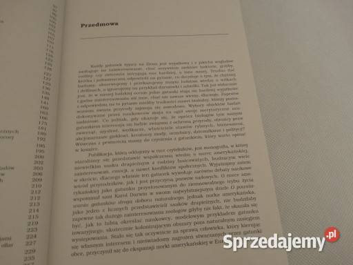 Norka amerykańska Biologia gatunku inwazyjnego Ostrowiec Świętokrzyski