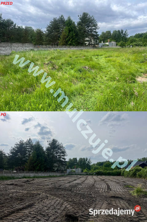 Wycinka drzew Mulczowanie Mulczer Karczowanie