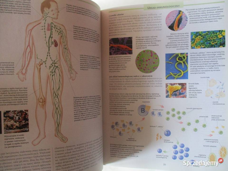 Rodzinna encyklopedia zdrowia medycyna farmacja medycyna, nauki medyczne