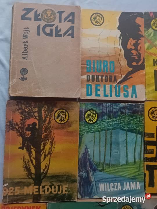 Zestaw 10 książeczek z serii Żółty Tygrys Lata