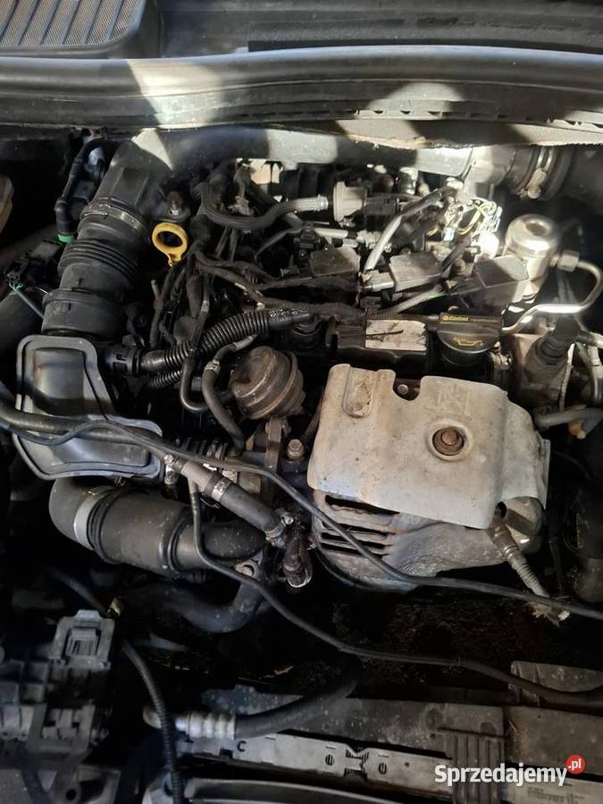 Silnik Ford cmax wielkopolskie Poznań