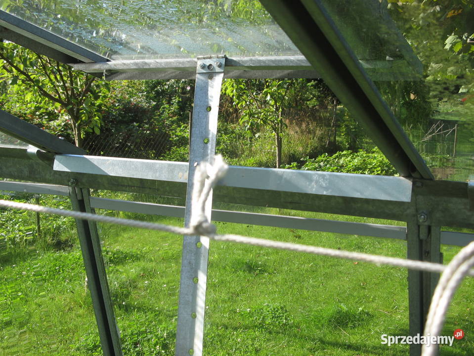 Szklarnia Laura Szklarnie Łobez sprzedam