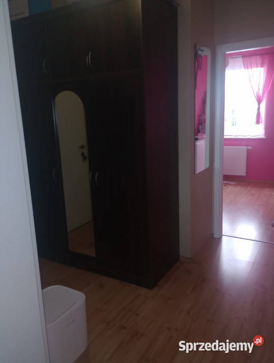 Mieszkanie do wynajęcia w spokojnej okolicy Toruń sprzedam