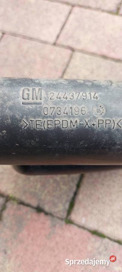 GM 24437914 lubuskie Skwierzyna