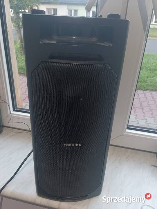 Party box Toshiba TY ASC51 50W Zealot s51 10W Słuchawki i głośniki Elektronika sprzedam