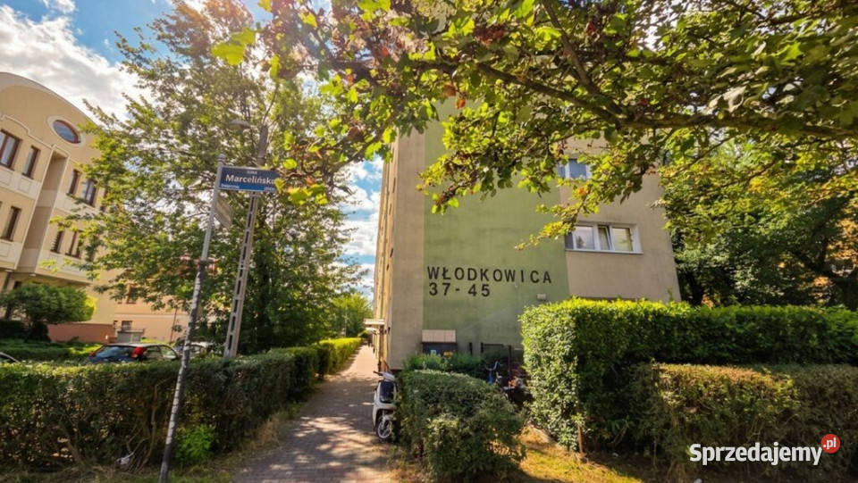 KawalerkaPoznań GrunwaldWłodkowica Piętro 4