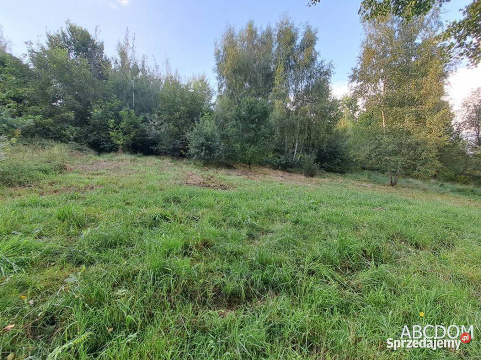 Nielepicedzialka budowlana w otoczeniu zieleni kanalizacja Nielepice sprzedam
