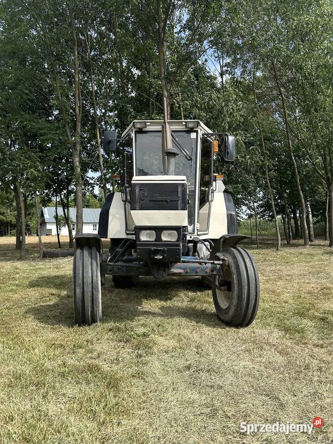 Ciągnik rolniczy Lamborghini 674 Buśno sprzedam