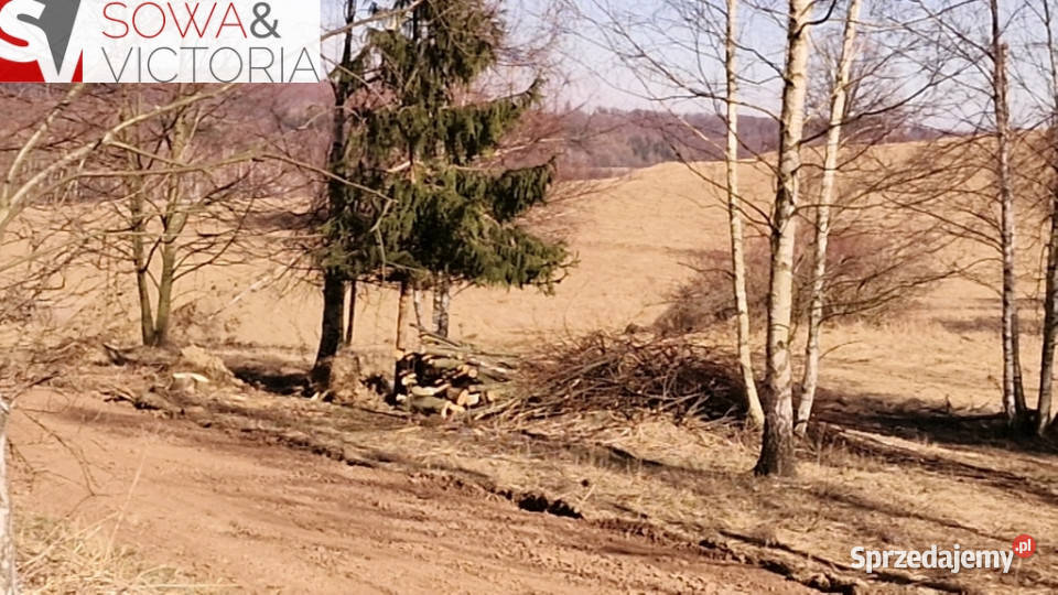 Panorama Góry Sowie Zagórze Śląskie