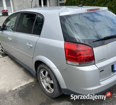 Opel Signum 19 diesel Olszyna