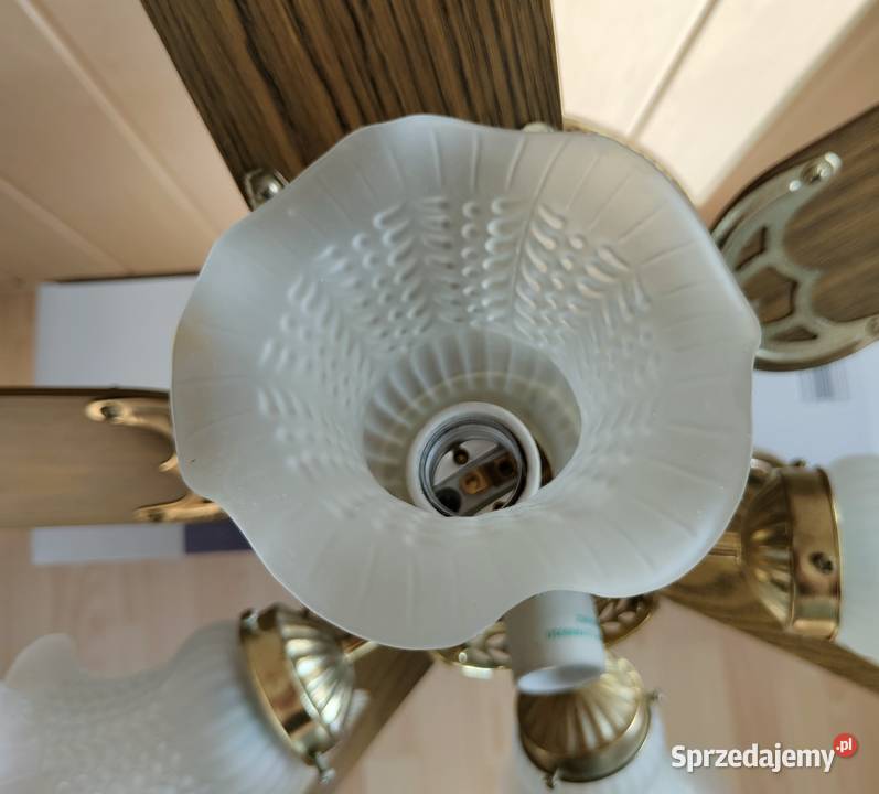 Lampa sufitowa wiatrak wentylator żyrandol Oświetlenie Szczecin