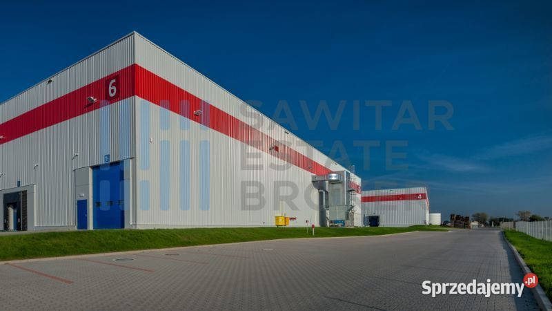 Magazyn klasy A dostępna zaraz bez prowizji Katowice