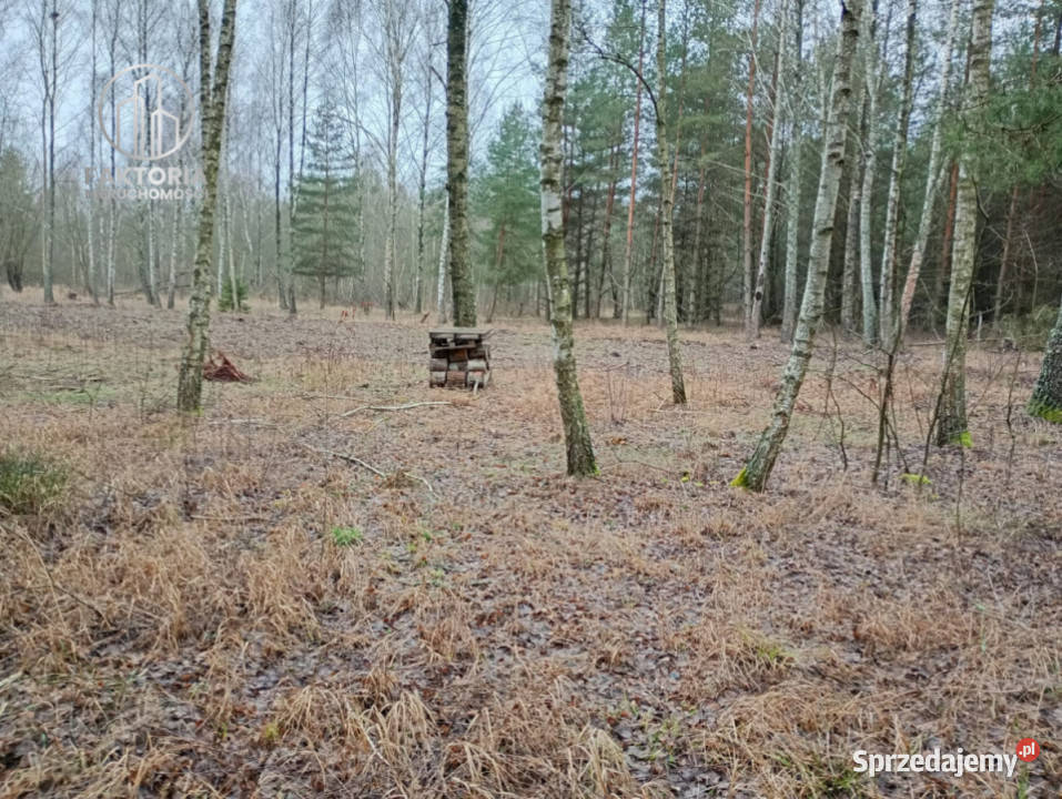 Działka Tarnopol Mostki 960m2 Bołtryki