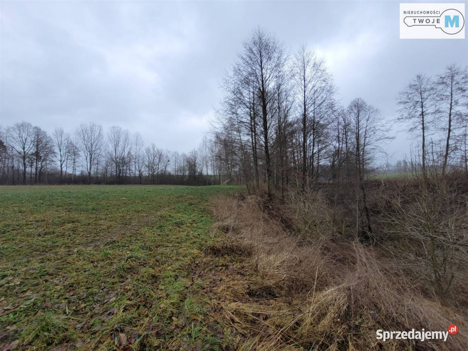 Działka Bodzentyn 4800m2 szambo sprzedam