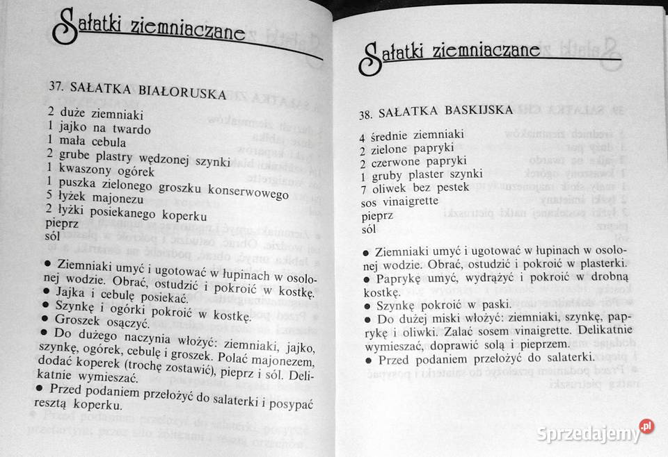 Sałatki 100 przepisów Renata Czubaj Rok wydania 1995 Chełm