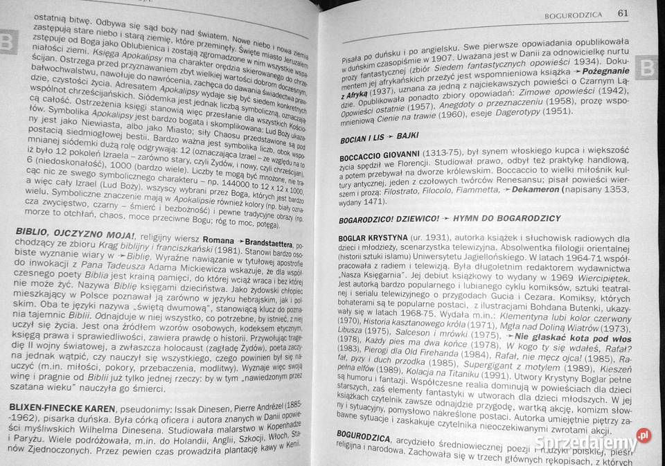Słownik lektur gimnazjum Henryk Sułek Rok wydania 2005 Pozostałe lubelskie Chełm