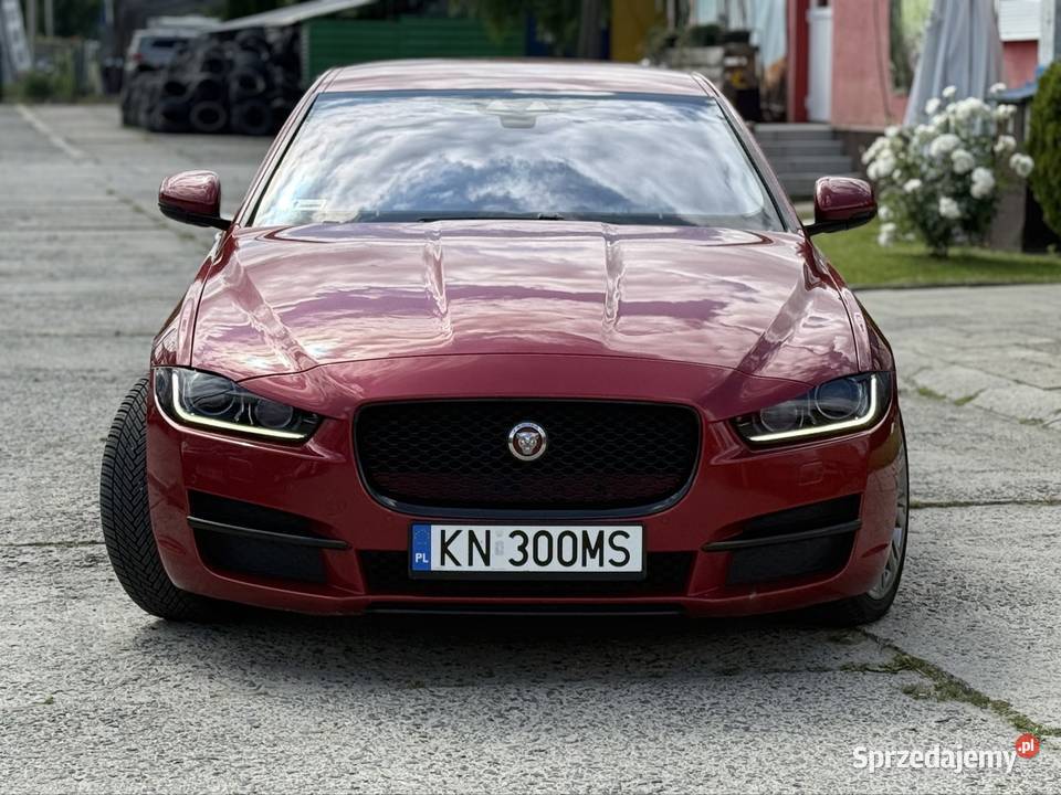 Jaguar xe nowy Nowy Sącz