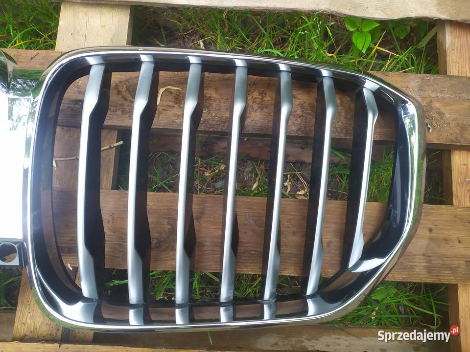 bmw x5 g05 atrapa nerki grill pod kamera całe osobowe łódzkie Starowa Góra
