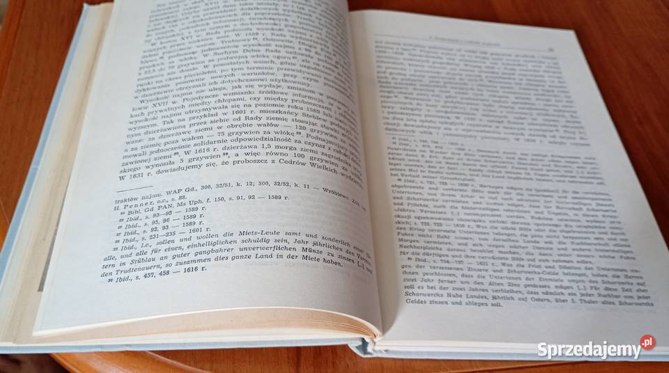 Żuławy Gdańskie w XVII wieku studium z dziejów studia Kultura i Rozrywka Gdańsk