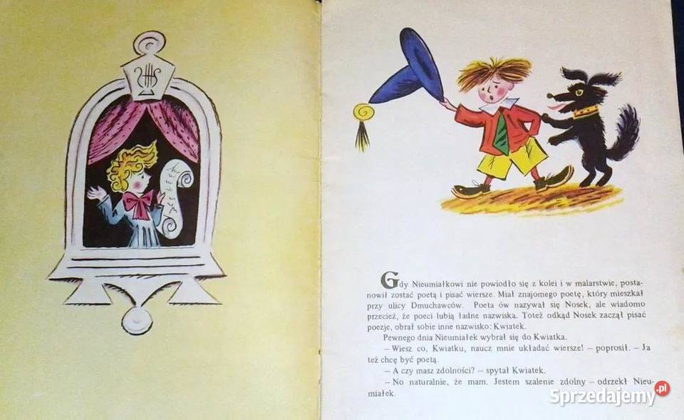 Przygody Nieumiałka Nieumiałek pisał wiersze lubelskie Chełm