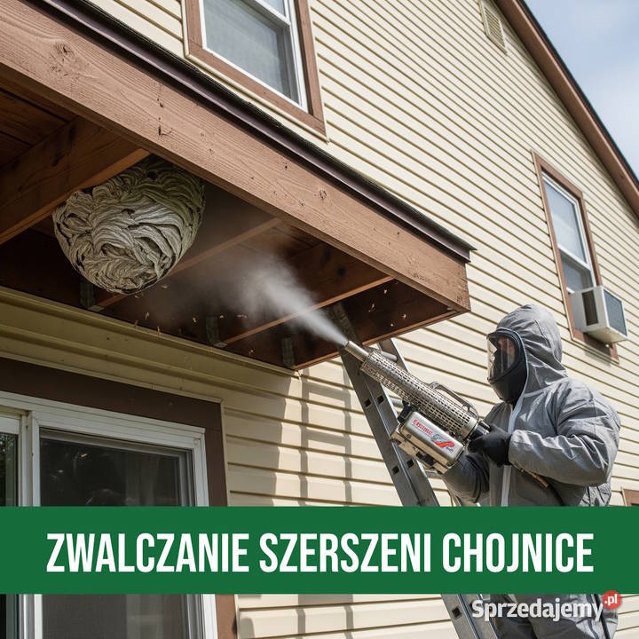 Zwalczanie Szerszeni Chojnice Usuwanie Gniazd