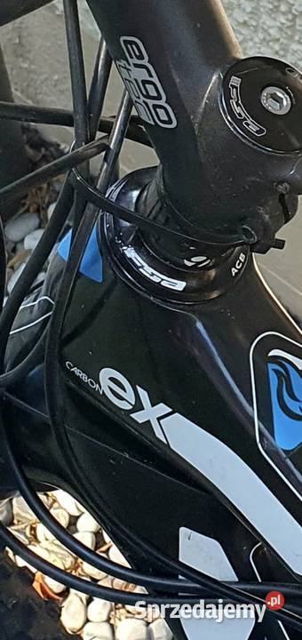 Trek Fuel EX 98 MTB 26 RH50 Carbon Radom