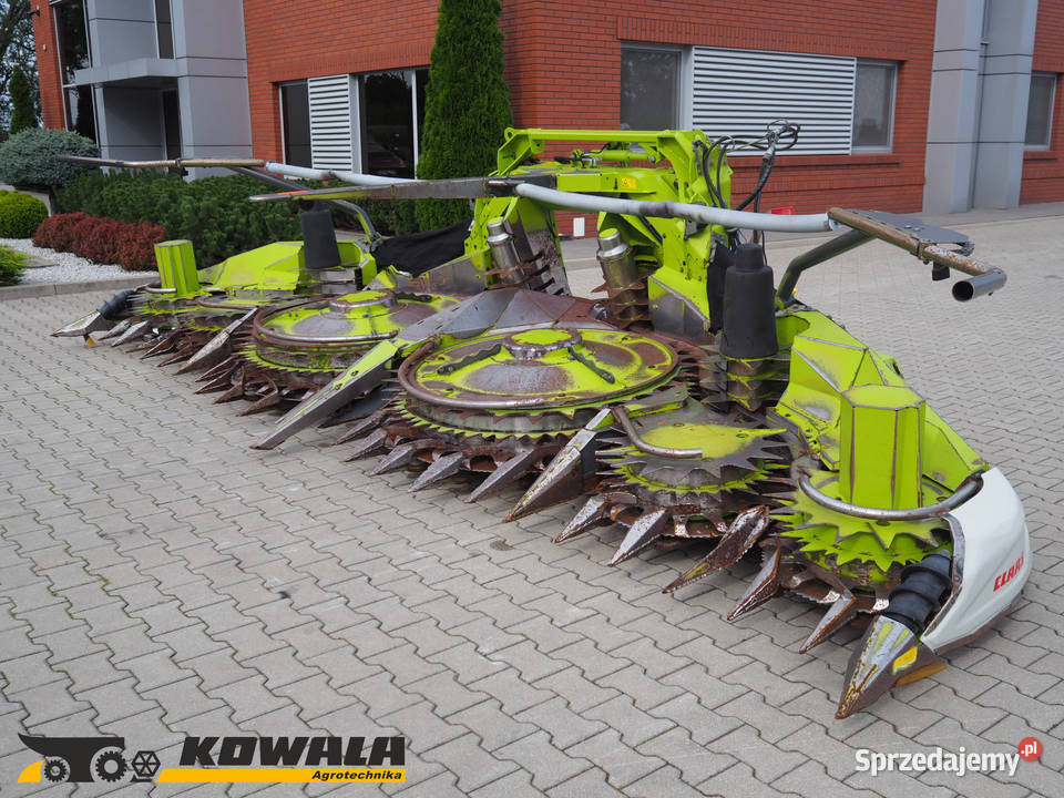 Claas Orbis 600 SD Przystawka do kukurydzy heder Stęszew sprzedam