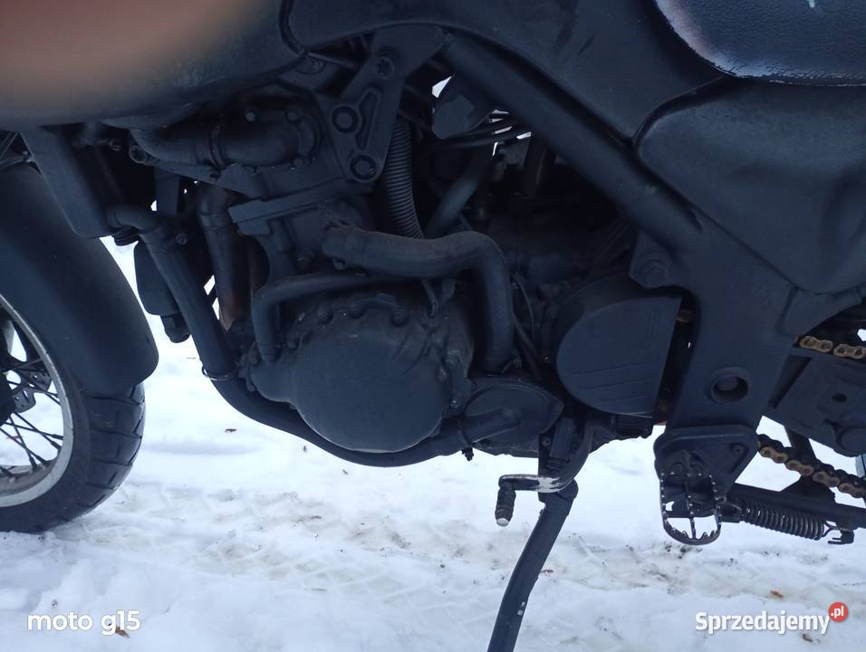 Triumph Tiger 955i 855i Mrozy