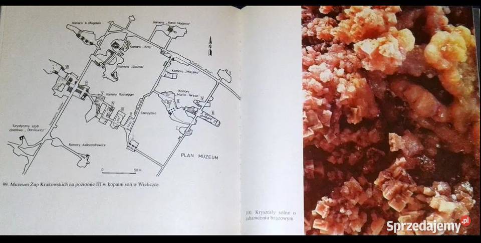 Wieliczka Zabytkowa kopalnia soli Antoni