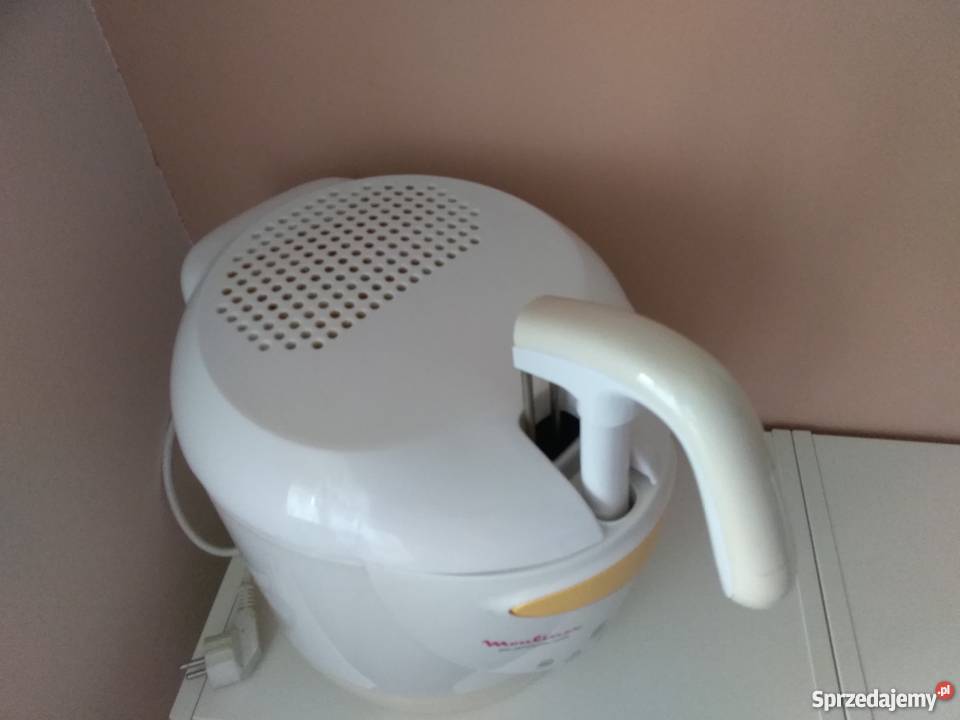 Frytkownica Moulinex AGD drobne Poznań