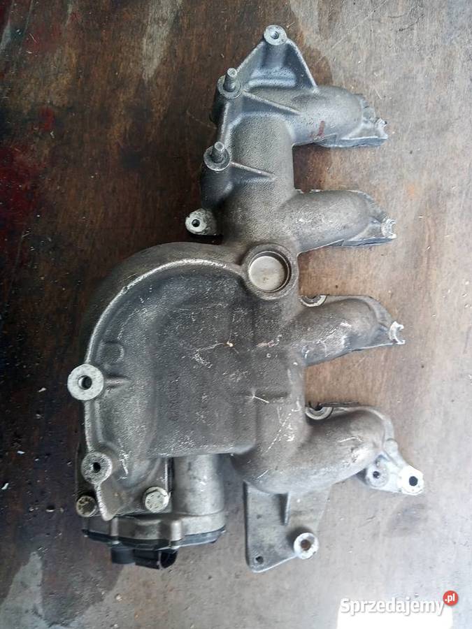 Kolektor ssący F9Q 19 131 Renault Części Sandomierz
