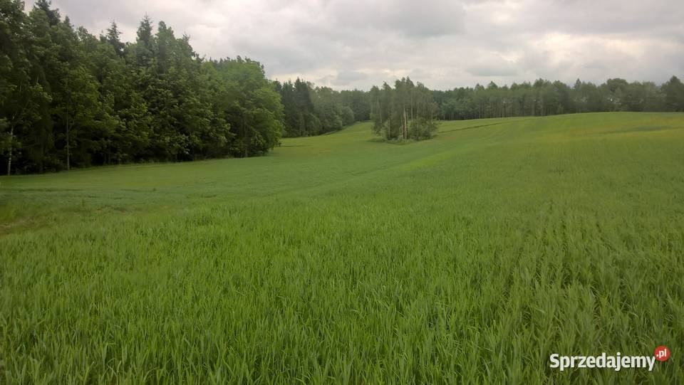 Stare Juchy działki z dojsciem do jeziora Garbas Grunty i działki