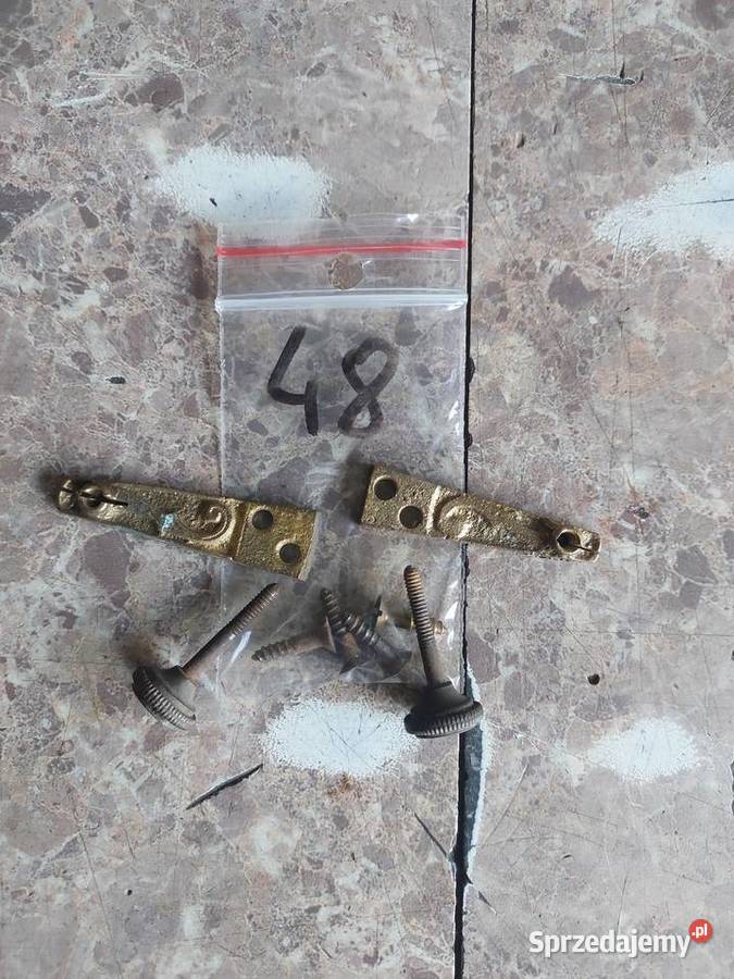 48 Pionizery pionizatory stabilizatory zdobione Tczew