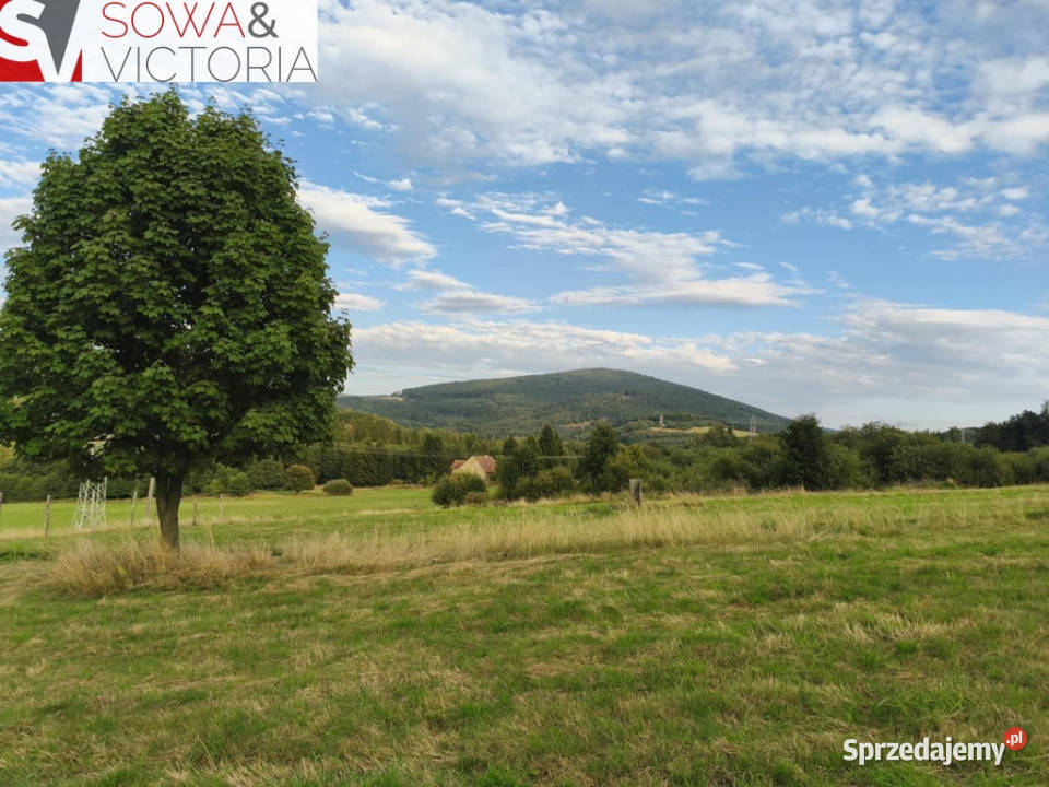 Działka na dom rekreacji indywidualnej ze stawem Sprzedaż Walim