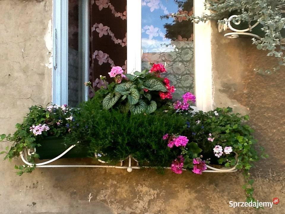 Kwietnik kwiaty doniczki skrzynki gril wysyłka Rzeszów